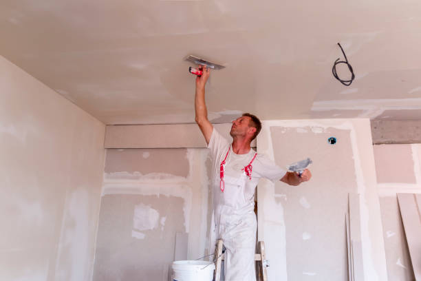 Best Drywall Removal and Disposal  in Olive Hill, KY